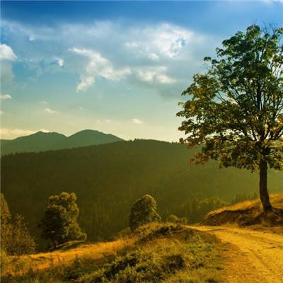 BOB·体育手机APP